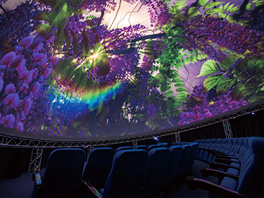 碗幕球幕穹幕解決方案